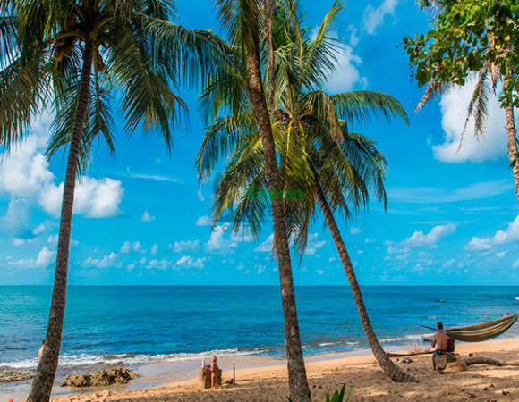 Caribe Salvaje