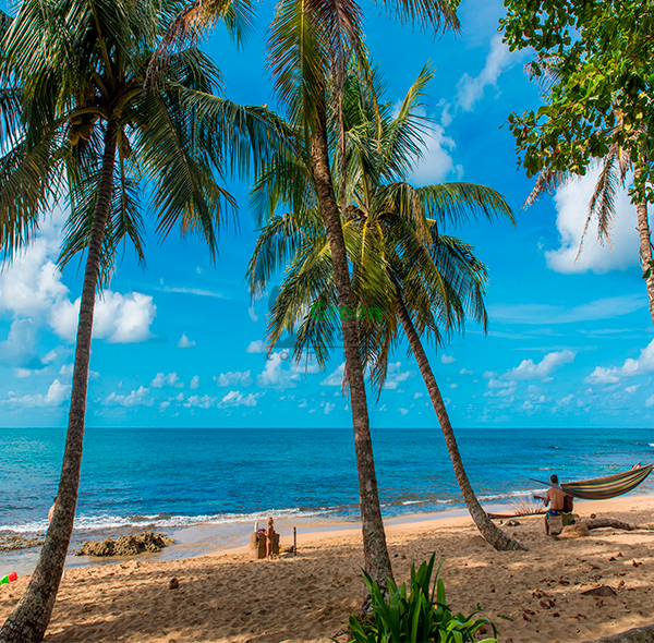 Caribe Salvaje