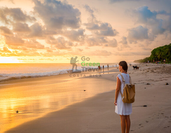 Escape al Pacífico Sur