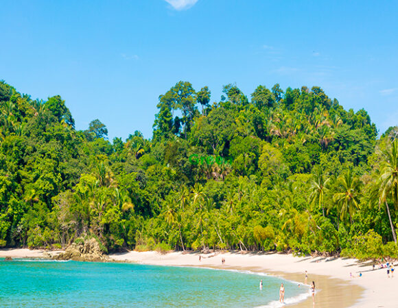 Manuel Antonio Básico