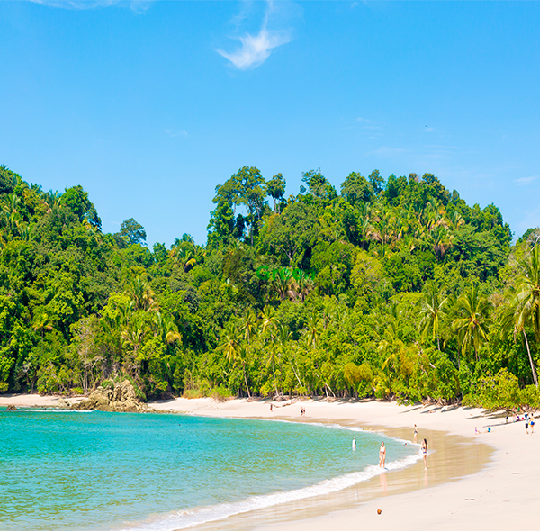 Manuel Antonio Básico