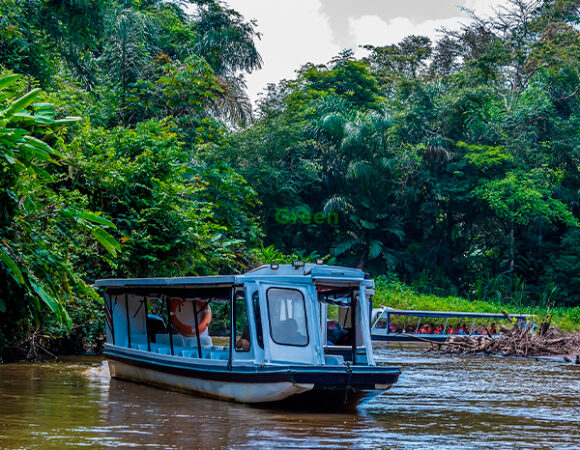 Tortuguero Básico