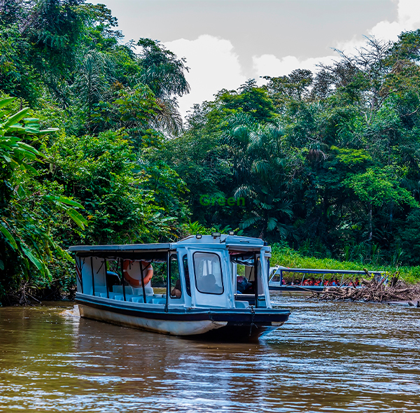 Tortuguero Básico